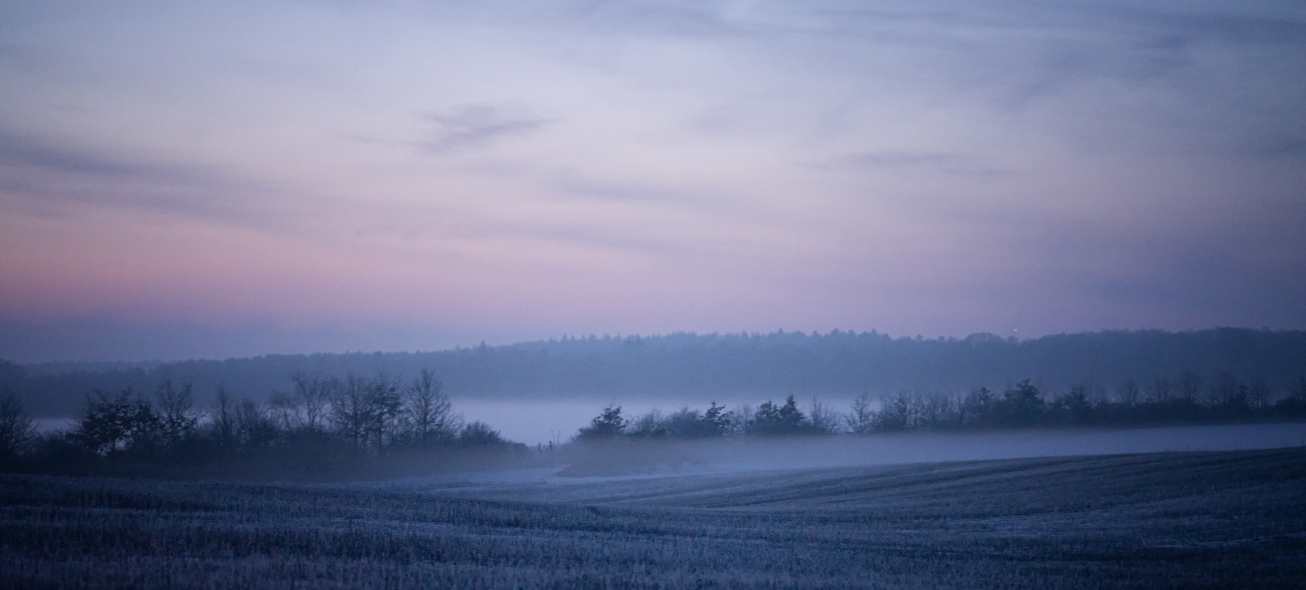 Autumn fog